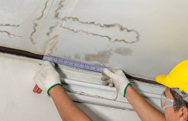 Reliable Basement Water Removal contractor in New Providence, NJ by Water Damage Irwin